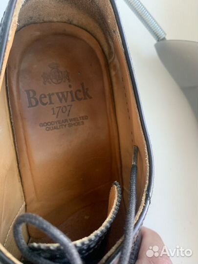 Туфли мужские броги Berwick