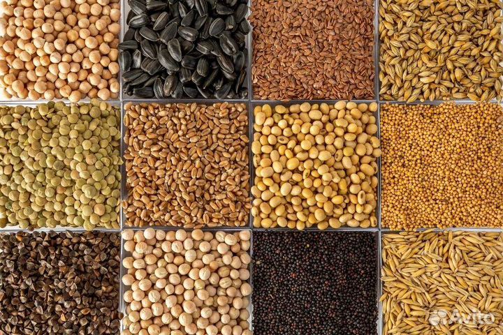 Комбикорма с полезными злаками для животных и птиц