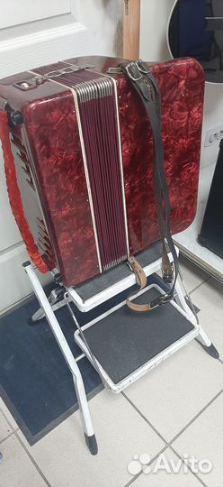 Баян weltmeister