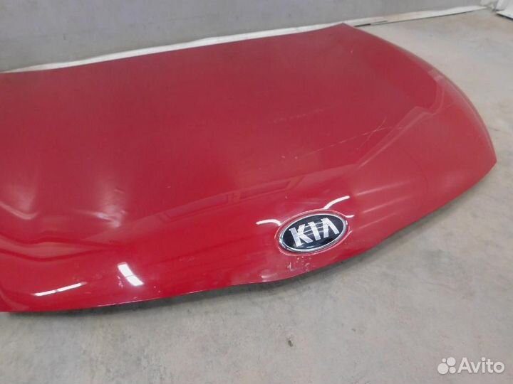 Капот Kia Rio