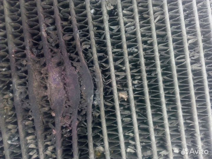 Радиатор газель бизнес 4216