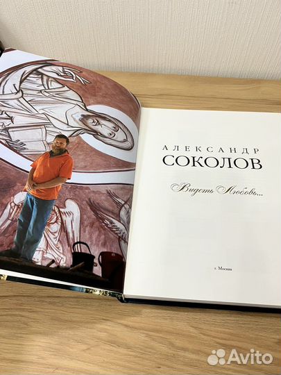 Александр Соколов - Видеть любовь