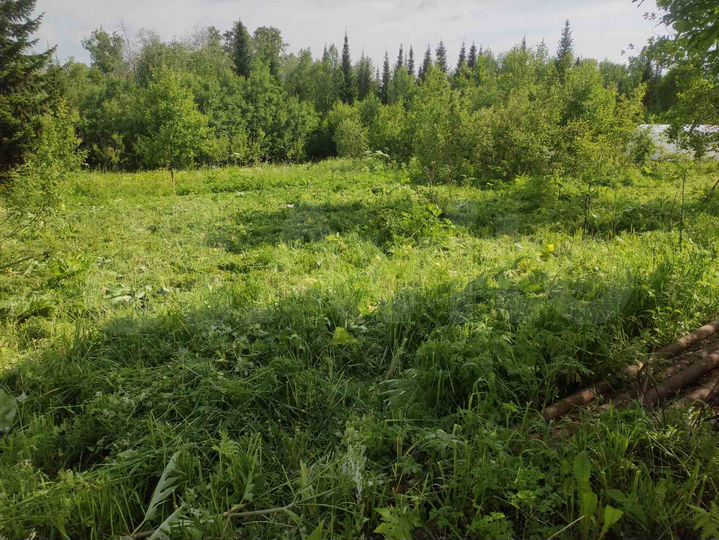 Участок 13 сот. (СНТ, ДНП)