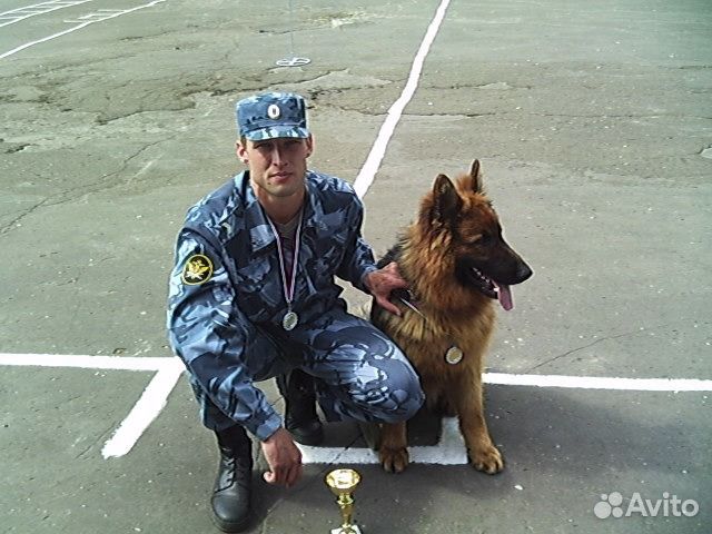 Дрессировка собак Кинолог в Симферополе