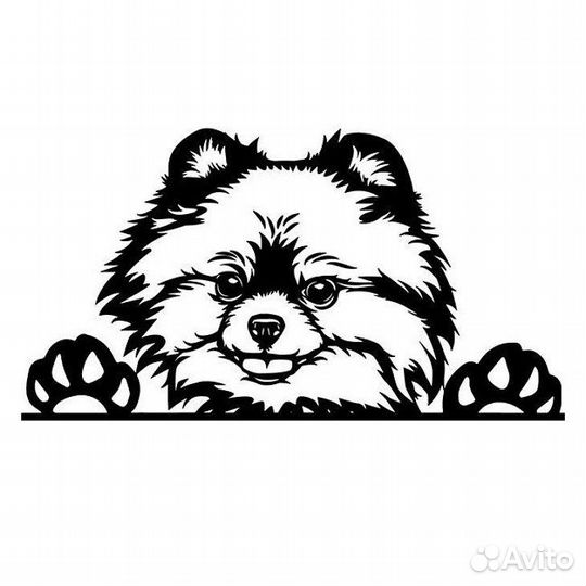 Лестница для собаки