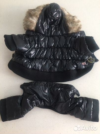 Одежда для собак мелких пород