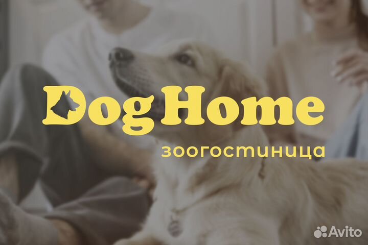 Графический дизайнер