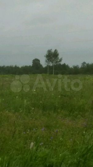 Участок 15 сот. (ИЖС)