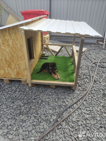 Будка для собак уличная