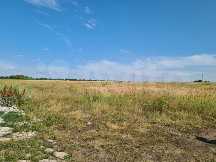 Участок 10 сот. (ИЖС)