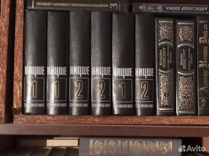 Собрание сочинений Ницше в двух томах