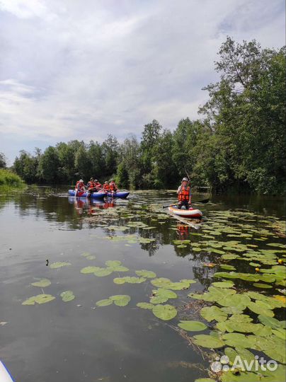 Сплав по р.Чепца
