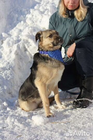 Октавия хочет домой