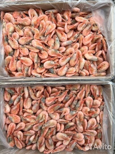 Креветка Северная (Гренландия 80-100 шт. )