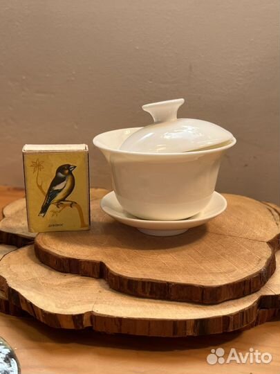 Гайвань белая