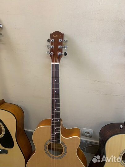 Гитары в аренду/прокат. Комбик в прокат