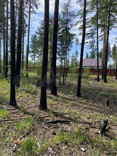 Участок 10 сот. (ИЖС)