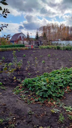 Участок 4,5 сот. (СНТ, ДНП)