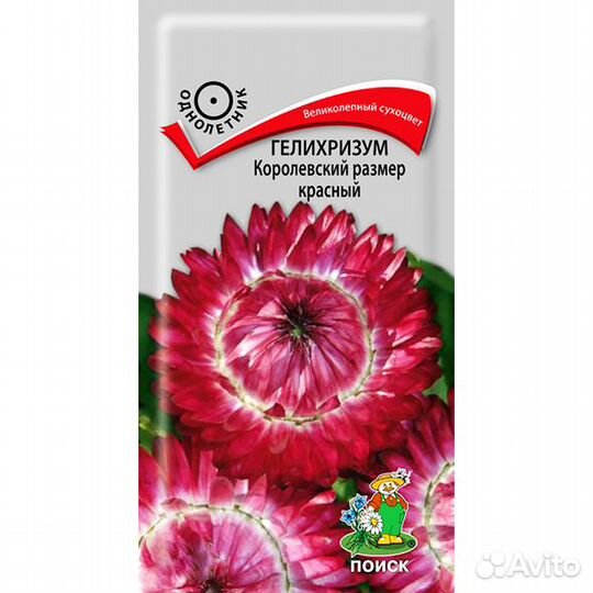 Гелихризум Королевский размер красный