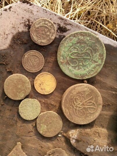 Металлоискатель garrett ace 250