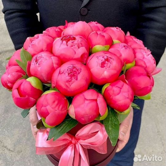 Пионы Цветы Доставка