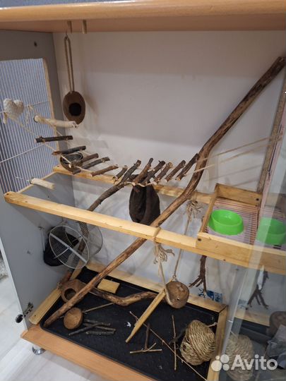 Витрина для грызунов, клетка для грызунов