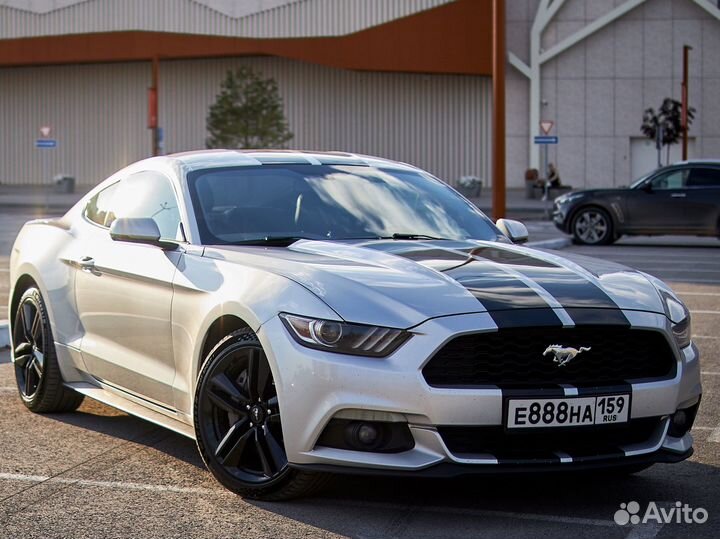 Аренда авто Ford Mustang /Chevrolet Camaro