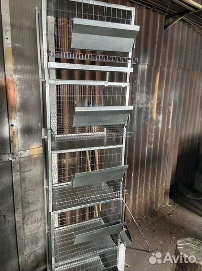 Клетки для перепелов