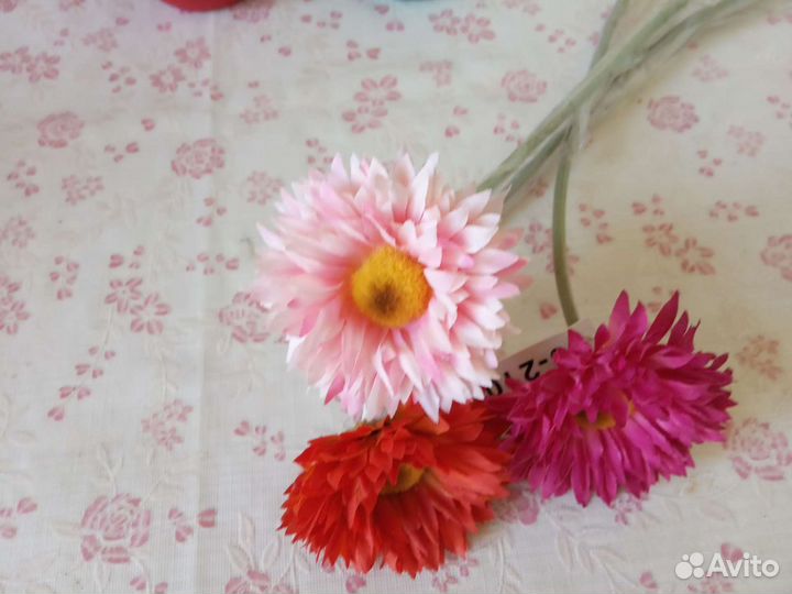 Вазы и цветы