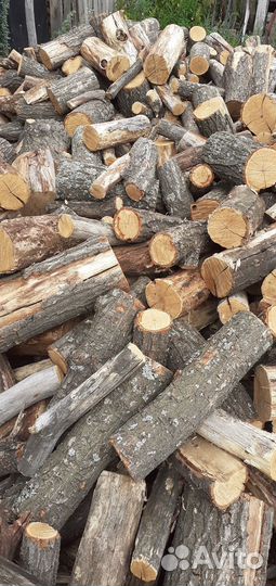 Дрова дубовые