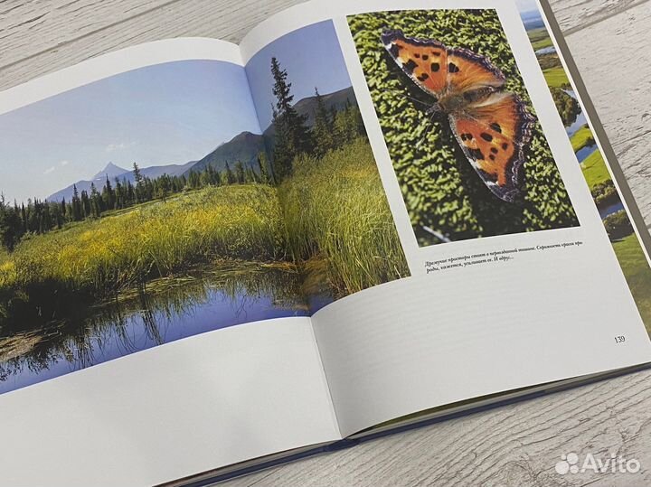 Книга “Зарни Лов. Золотая душа Коми»