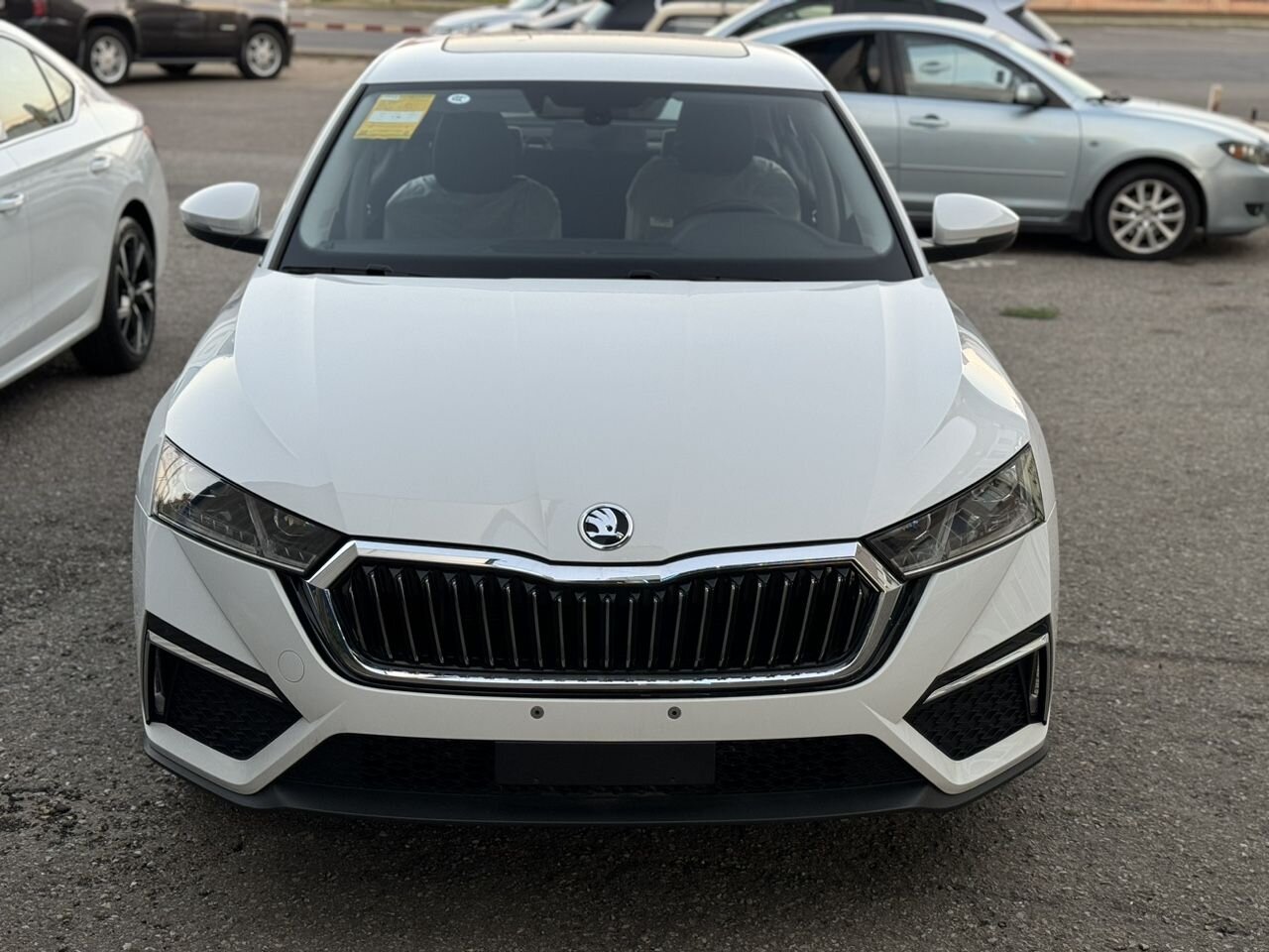 Skoda Octavia: фото владельца