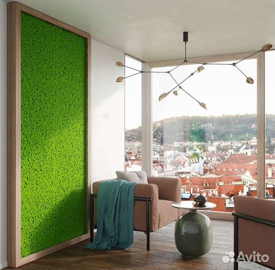 Фитостена мох стабилизированный ягель