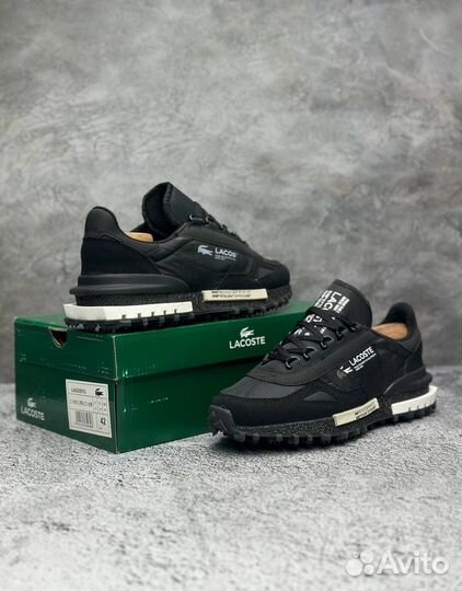 Кроссовки мужские Lacoste