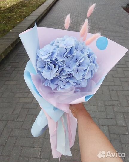 Букеты-Комплименты из Гортензии