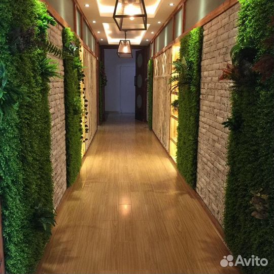 Стабилизированный Мох. Искусственное озеленение