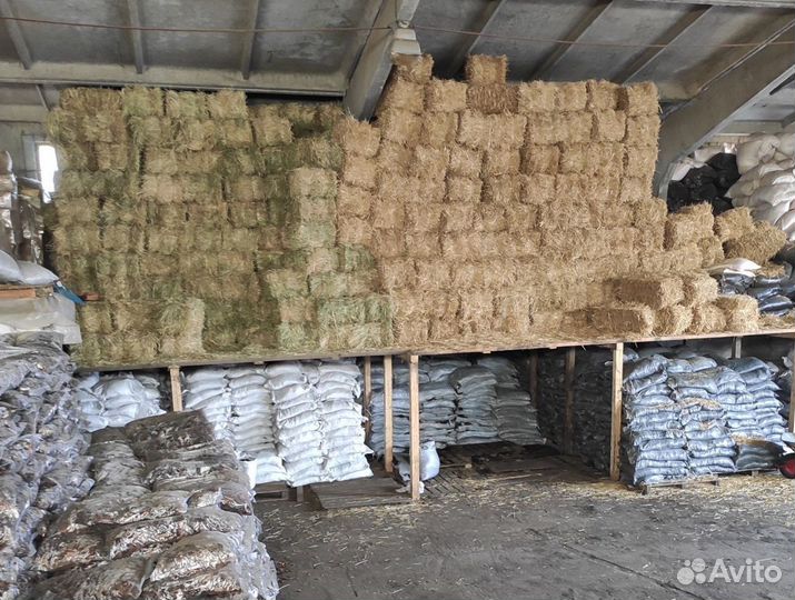 Сено в тюках