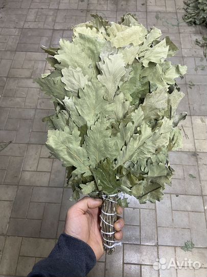 Банные веники