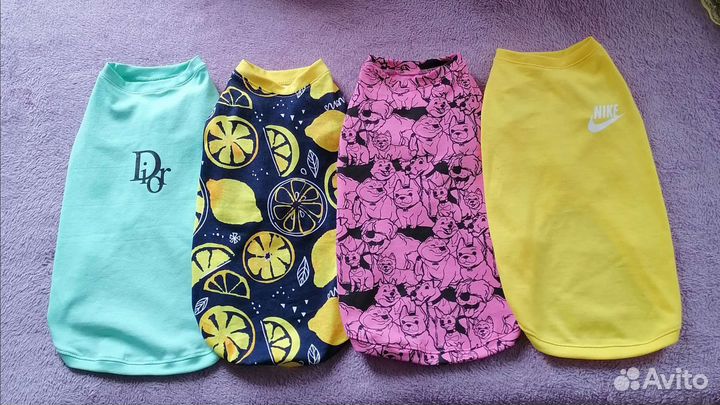 Одежда для собак