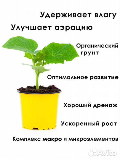 Кокосовый субстрат для растений и террариум торф