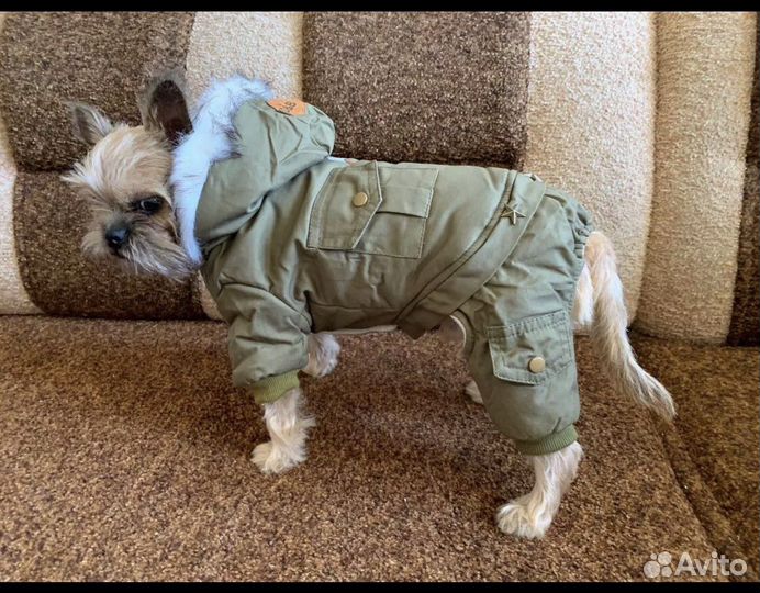 Одежда для собак и кошек