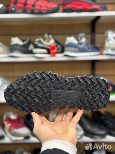 Кроссовки мужские Lacoste