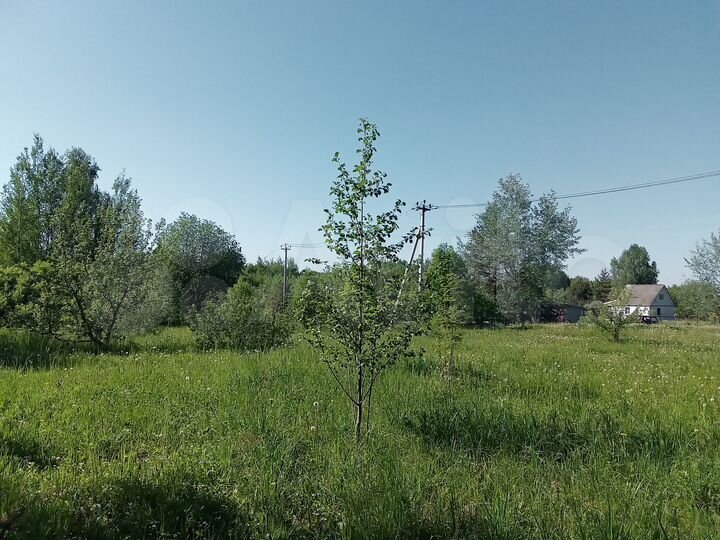 Участок 10 сот. (ИЖС)