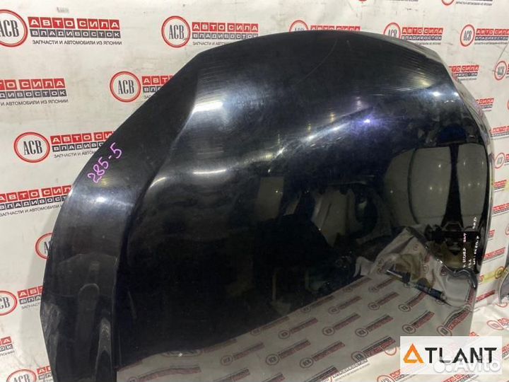 Капот honda accord