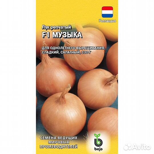 Лук репчатый Музыка F1