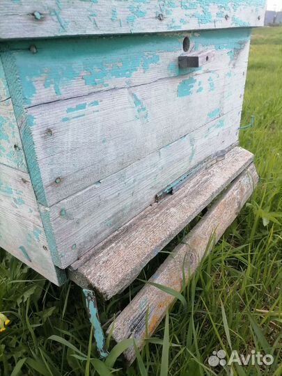 Ульи для пчел