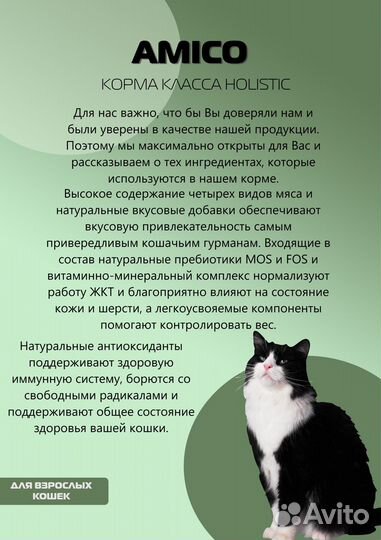Amico holistic для взрослых кошек 400 г