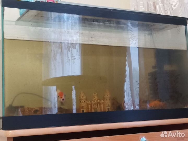 Аквариум 100л