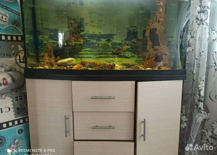 Аквариум