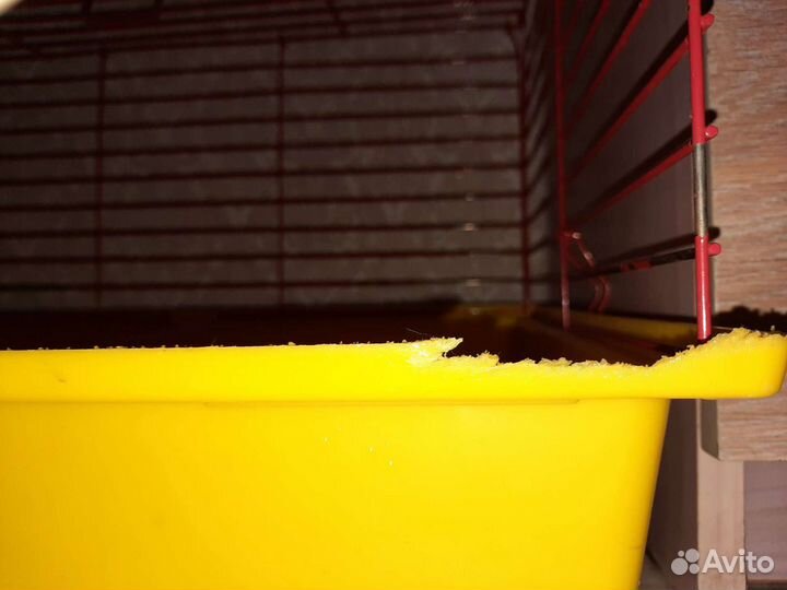 Клетка для кролика,морской свинки